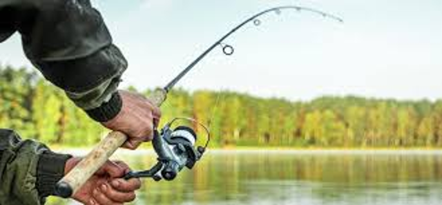 Rilascio tesserini autorizzativi per esercizio della pesca nei fiumi laghi e corsi d'acqua validi sull'intero territorio nazionale.